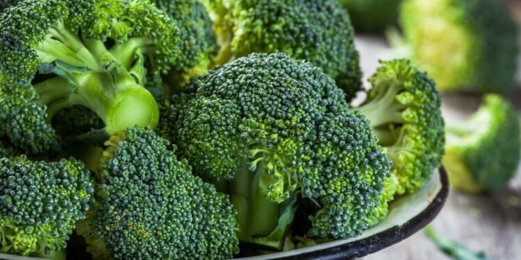 Como plantar brócolis em casa de um jeito simples