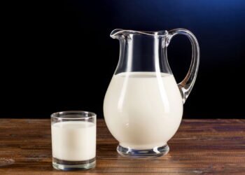 O impacto de substituir leite de vaca por vegetal por 30 dias