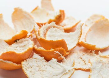 Dicas criativas para reaproveitar casca de frutas e evitar desperdício