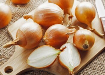 Aprenda o jeito simples e prático de plantar cebola