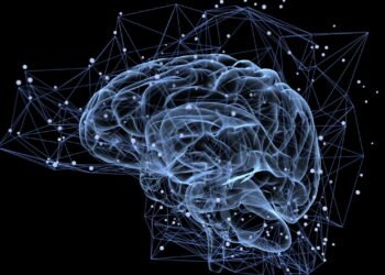 O suplemento natural que auxilia na memória e concentração