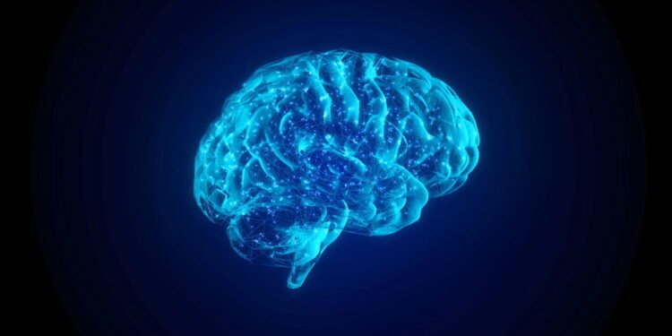 Qual é o melhor treinamento para prevenir a perda de memória, segundo a ciência?