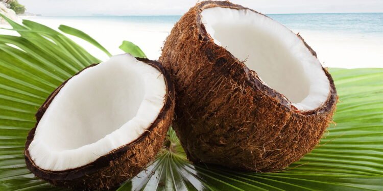 Como cultivar plantas dentro de cocos?