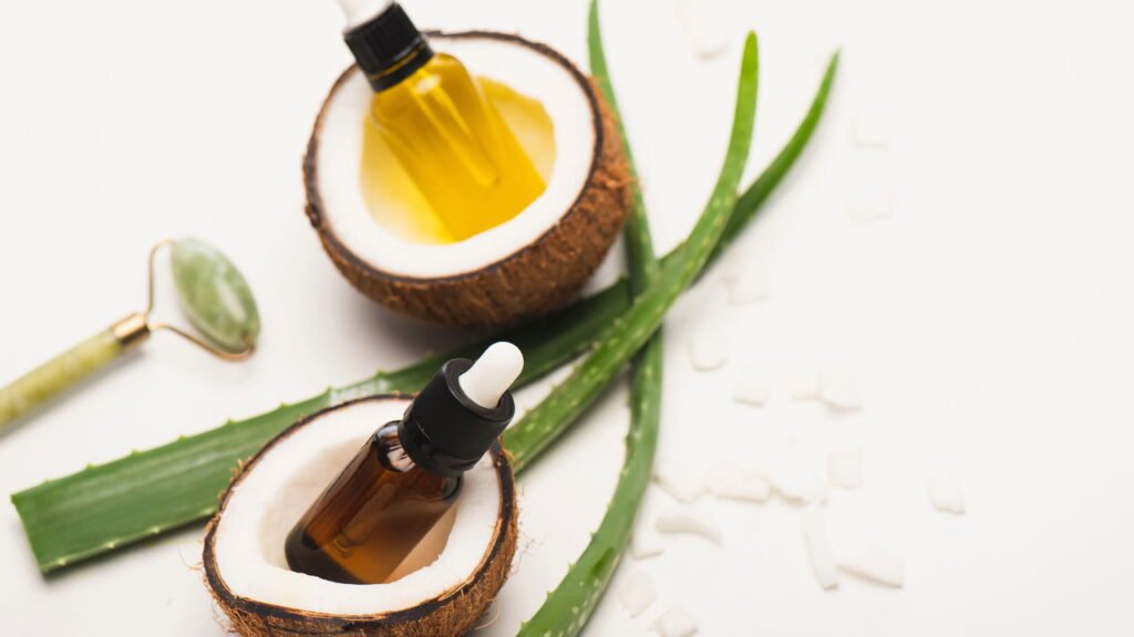 Como cultivar plantas dentro de cocos?