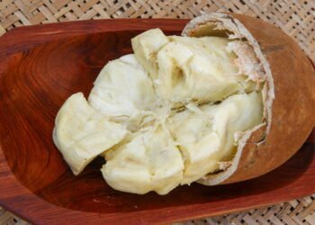 Aprenda a plantar cupuaçu em casa com dicas simples