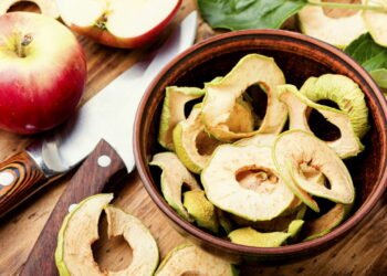 Dicas essenciais para desidratar frutas e verduras sem perder a qualidade