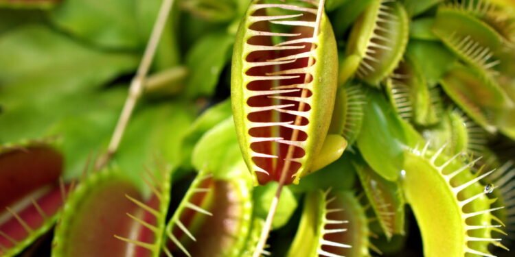 Créditos: depositphotos.com / suganyasopat