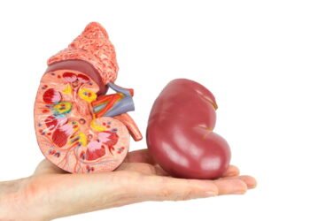 Operação Transplante: Os Bastidores da Doação de Órgãos