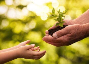 O movimento que está mudando a forma de cuidar do meio ambiente
