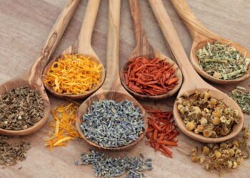 Passo a passo para montar uma horta de plantas medicinais