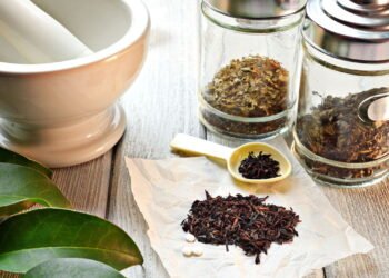 Como cultivar um jardim de ervas aromáticas e medicinais em casa