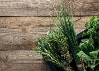 Revelada a lista de alimentos que podem mudar sua pele do dia para a noite!