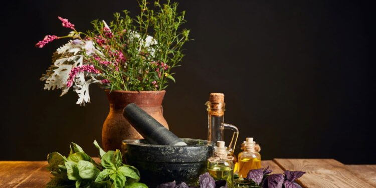 Alivie suas dores de forma simples e natural com essas plantas