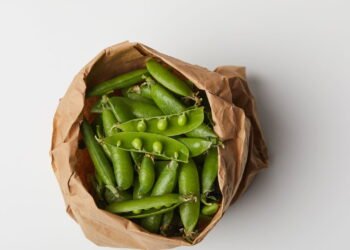 Dicas essenciais para o cultivo perfeito de ervilha-torta