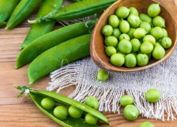 Dicas essenciais para o cultivo perfeito de ervilha-torta