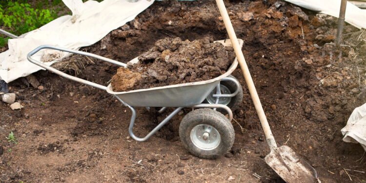 Veja como aumentara fertilidade do solo com o uso adequado de esterco