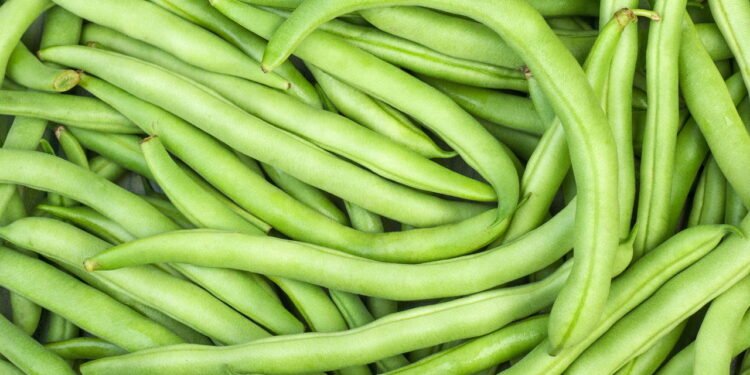 Aprenda a plantar feijão-verde e tenha colheitas em casa