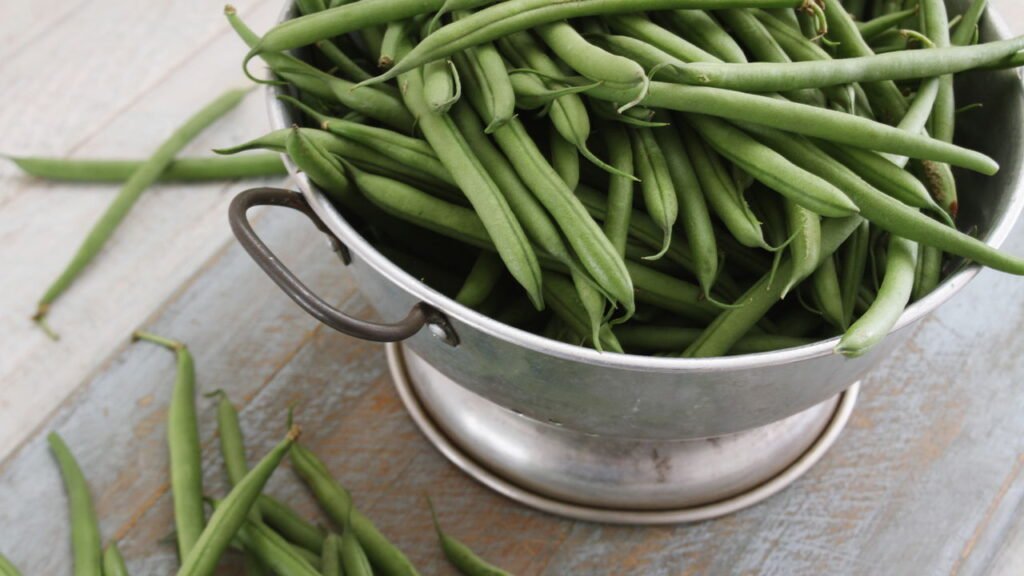 Aprenda a plantar feijão-verde e tenha colheitas em casa