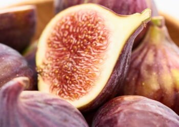 Como plantar figo em casa com dicas simples