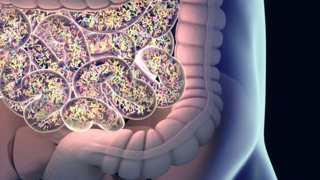 Essa bebida natural que você faz em casa pode melhorar seu intestino