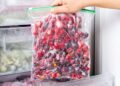 Como congelar frutas corretamente para preservar sabor e nutrientes