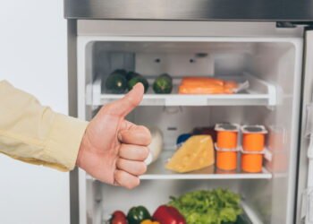 Tudo o que você precisa saber para escolher uma boa geladeira