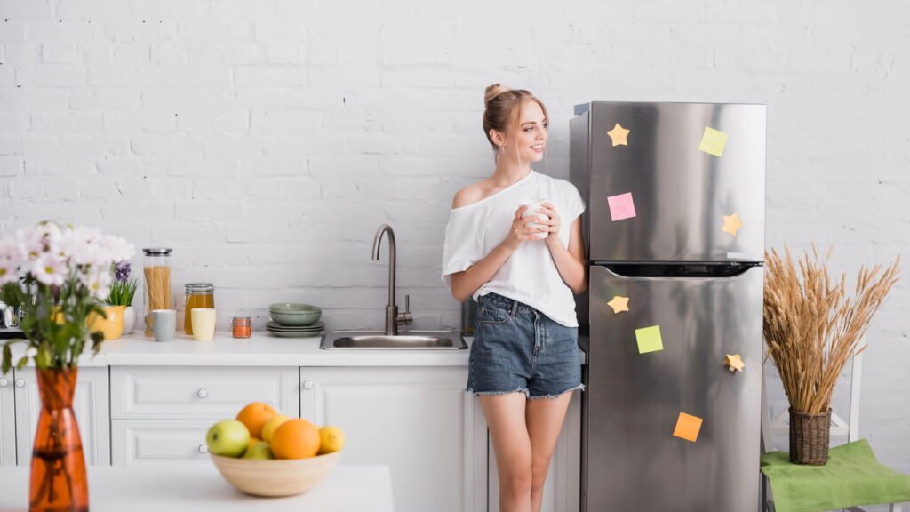 Tudo o que você precisa saber para escolher uma boa geladeira