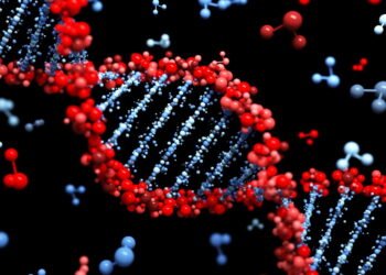 A genética e o papel fundamental que ela desempenha na vida humana