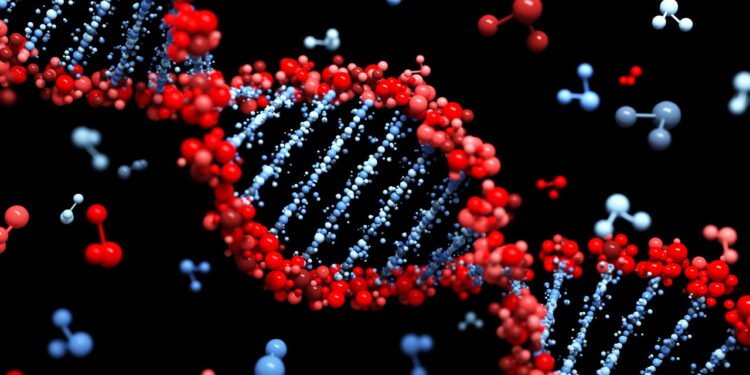 A genética e o papel fundamental que ela desempenha na vida humana