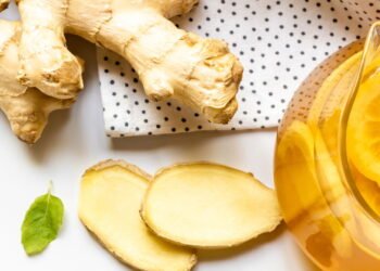 Dicas essenciais para plantar gengibre e obter raízes grandes e saudáveis