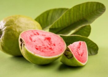 Saiba como plantar goiaba de um jeito simples e prático