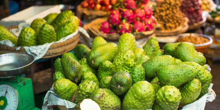 Como plantar graviola e acelerar a frutificação em menos tempo