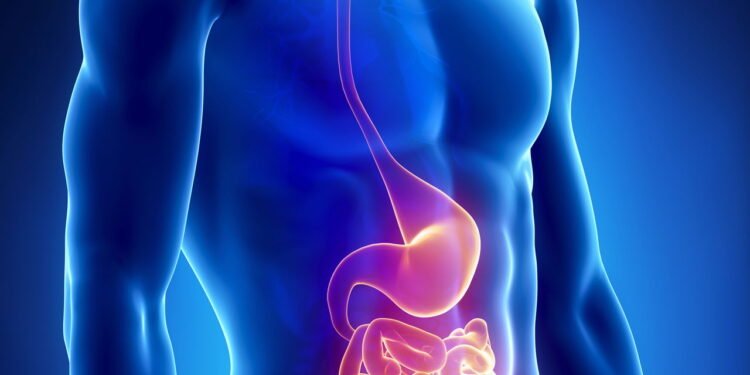 Essa bebida fermentada está revolucionando a saúde intestinal de muita gente