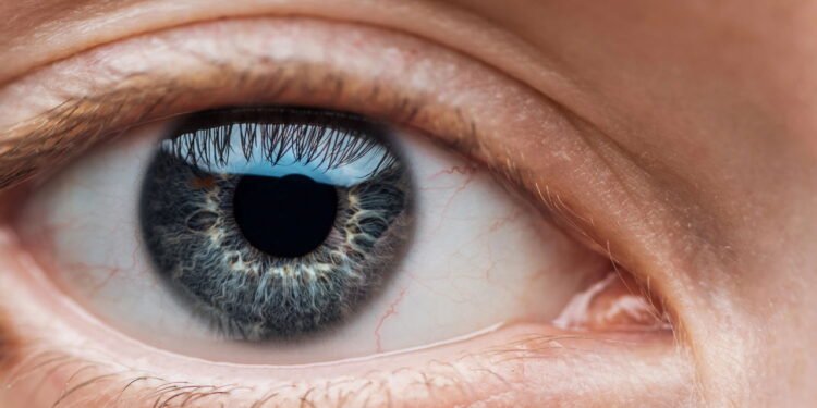 O novo aplicativo que promete desbancar o X