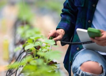 Seu jardim pode ser inteligente e você nem imagina como