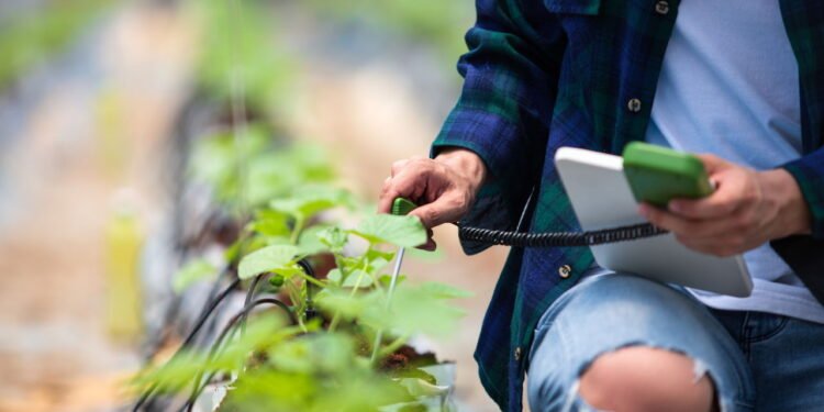 Seu jardim pode ser inteligente e você nem imagina como