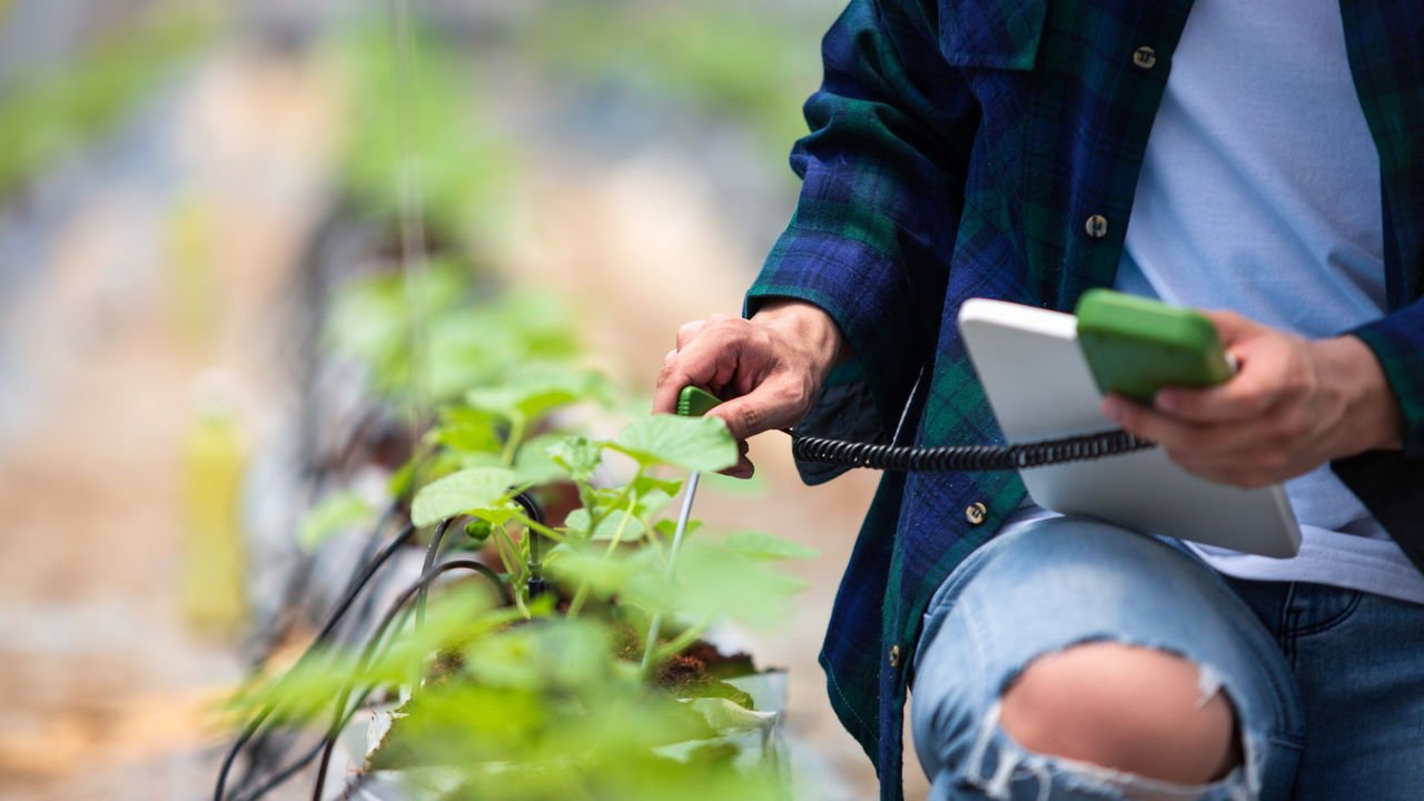 Seu jardim pode ser inteligente e você nem imagina como