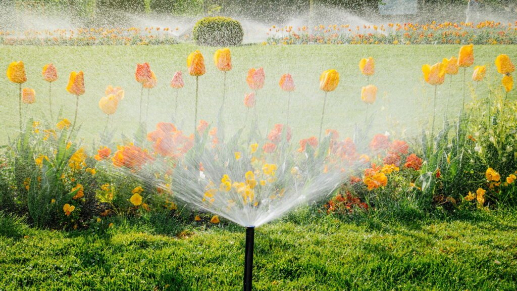 Seu jardim pode ser inteligente e você nem imagina como