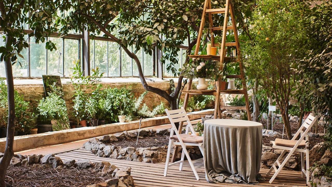 Diga adeus à poluição do ar com ideias simples e eficazes