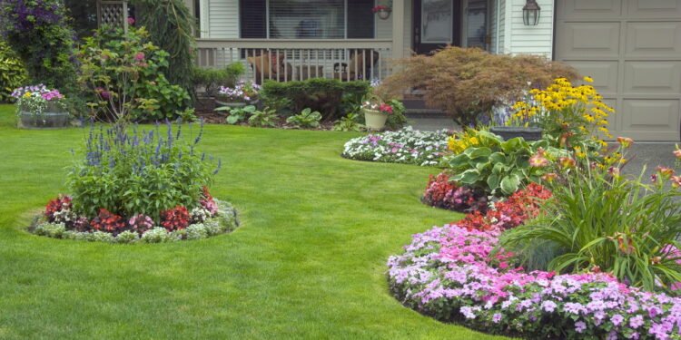 As flores mais fáceis para cultivar no seu jardim!