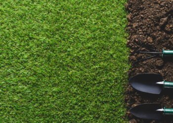 A jardinagem tem um segredo que você não sabia! Isso pode afetar o seu bem estar!