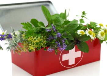 O que muitas pessoas estão tomando para desintoxicar o corpo sem remédios e de fácil acesso