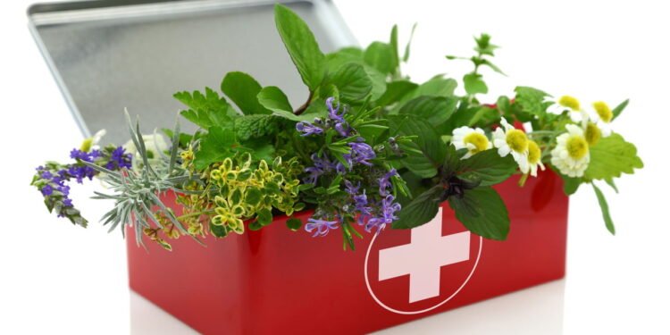 O que muitas pessoas estão tomando para desintoxicar o corpo sem remédios e de fácil acesso