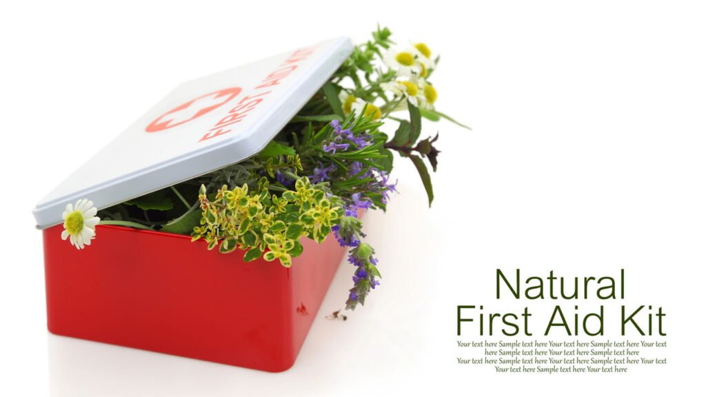 Monte seu kit com as especiarias e ervas medicinais perfeitas para o seu dia a dia 