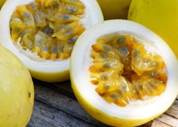 Dicas simples para garantir uma boa colheita de maracujá