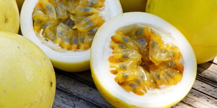 Dicas simples para garantir uma boa colheita de maracujá