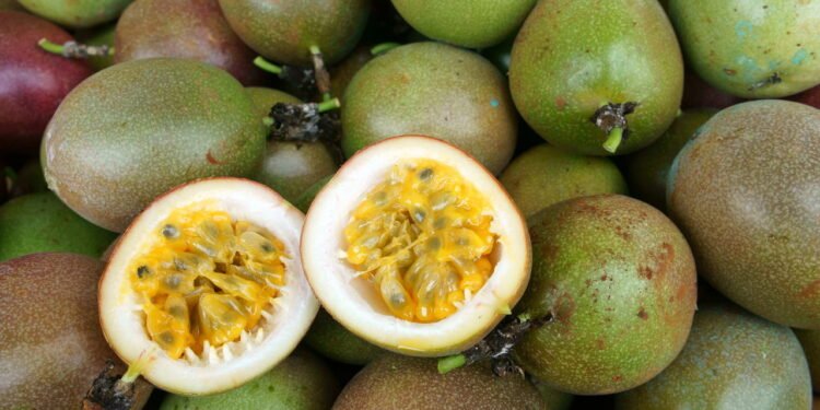 Como cultivar maracujá de forma prática