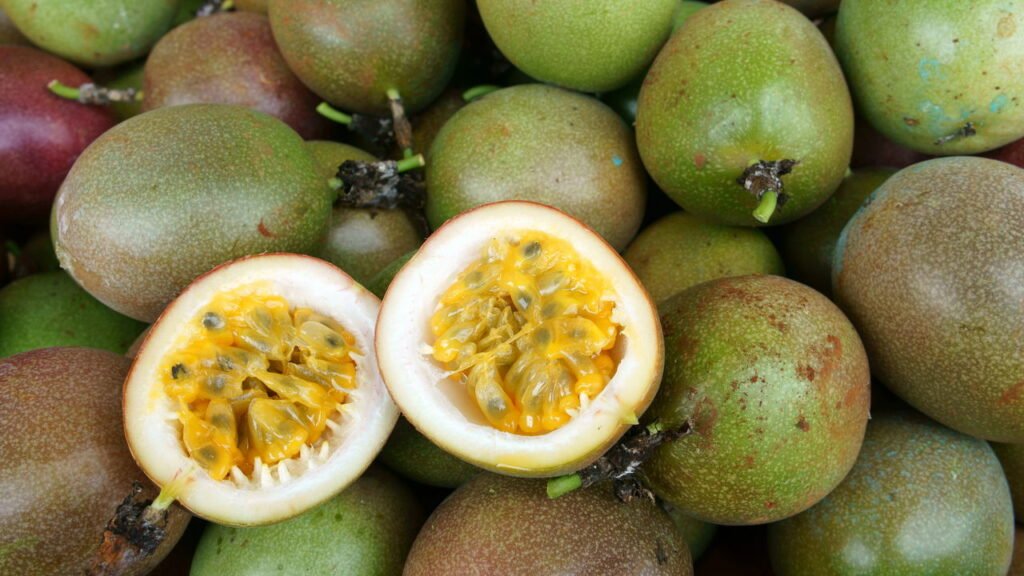 Passo a passo para ter maracujá fresco diretamente da sua horta