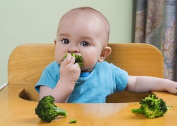 A verdade sobre o que seu bebê realmente deve ou não comer