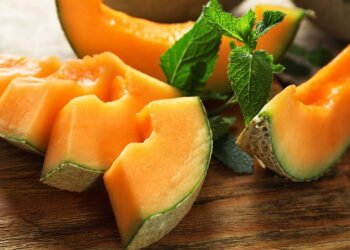 Aprenda a plantar melão em casa com um guia prático